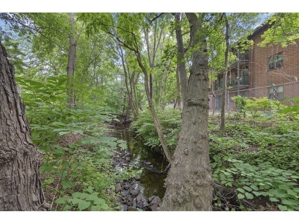 61 Auburn Street # 1