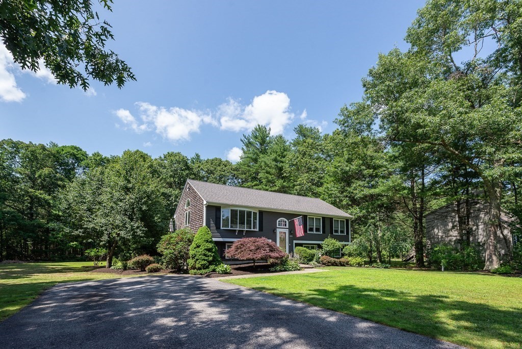 125 Wintergreen Lane