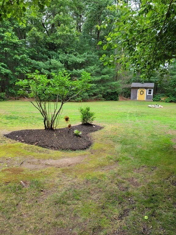 125 Wintergreen Lane