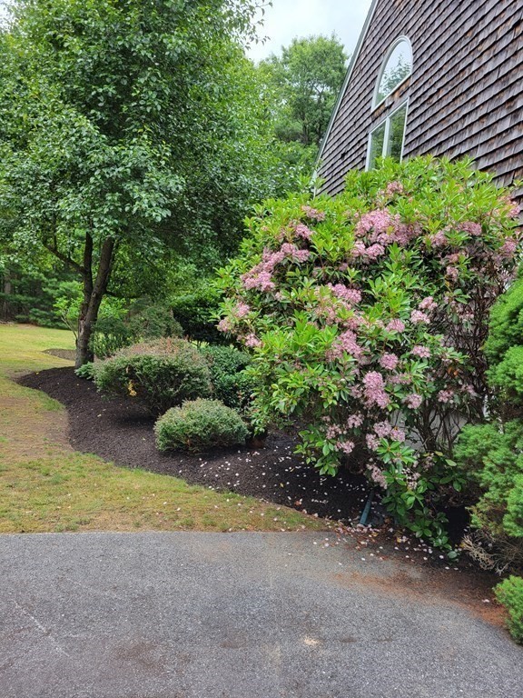 125 Wintergreen Lane