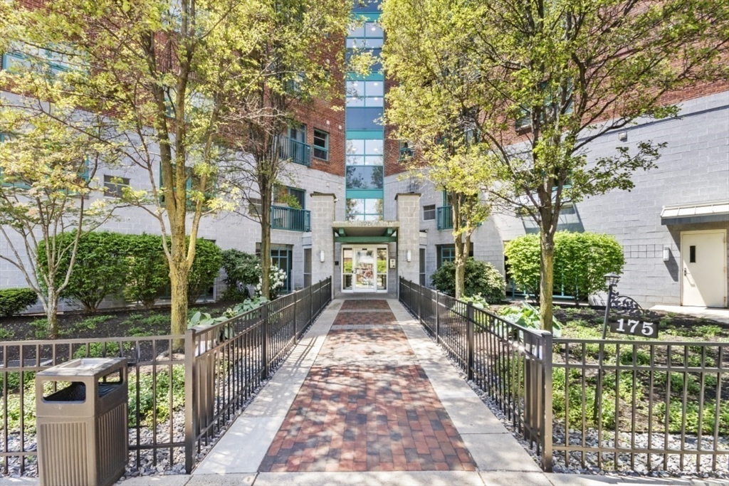 175 Cottage Street # 413