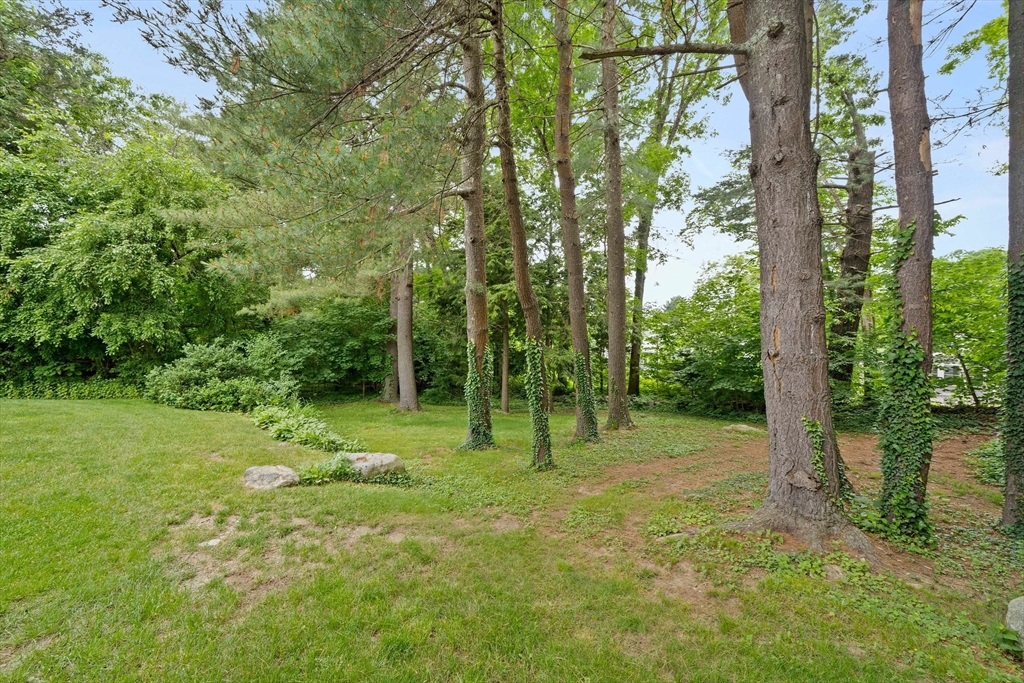5 Cedar Drive