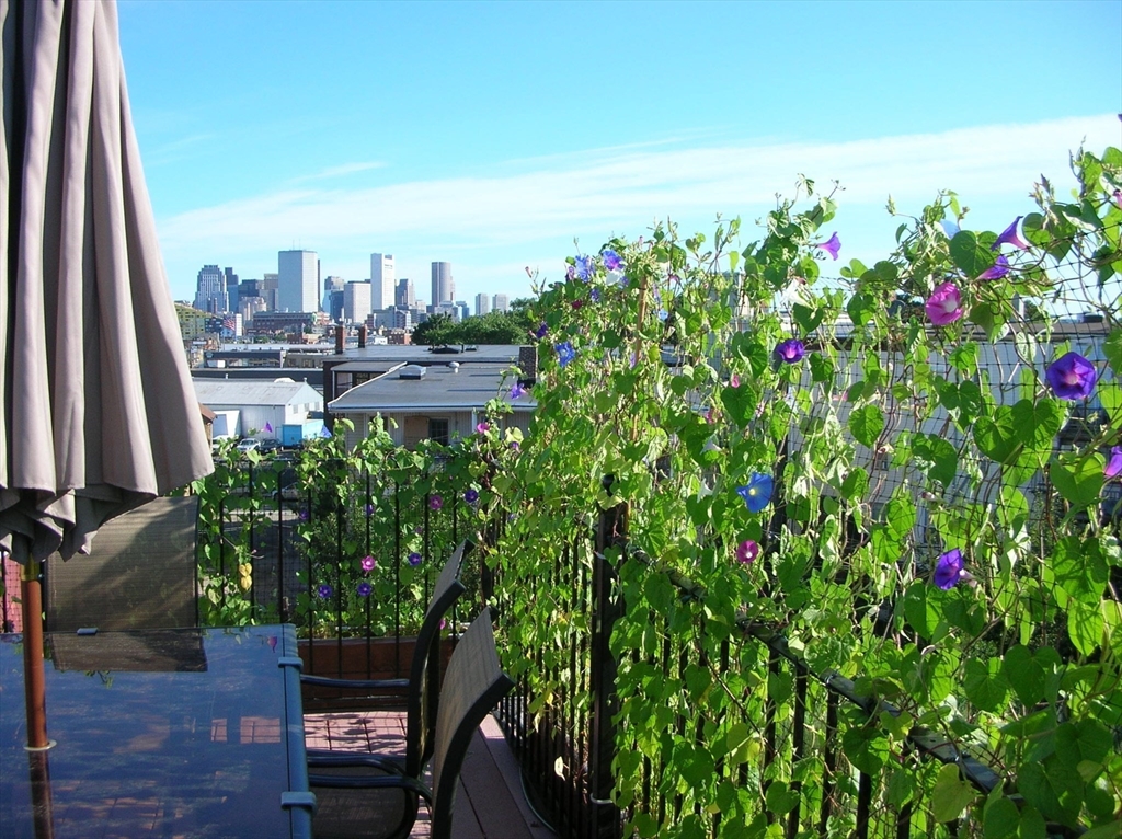 536 Dorchester Ave # 3