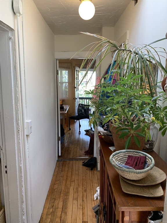 14 Evergreen Square # 3