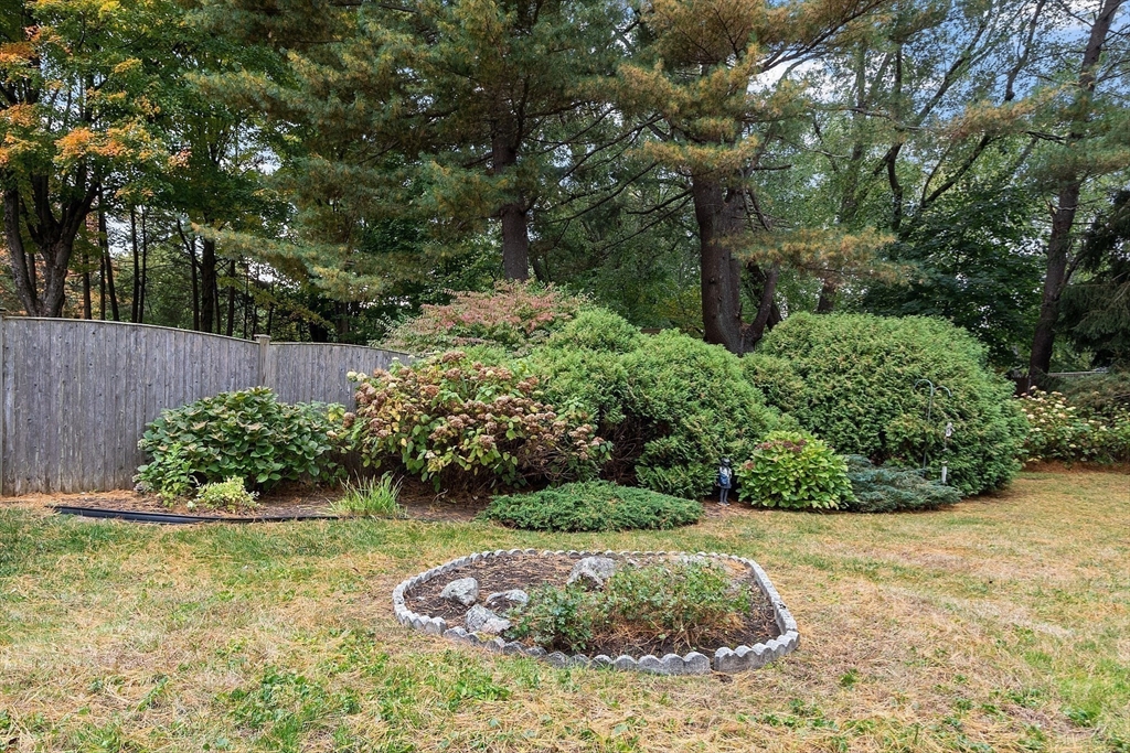 11 Lane Avenue