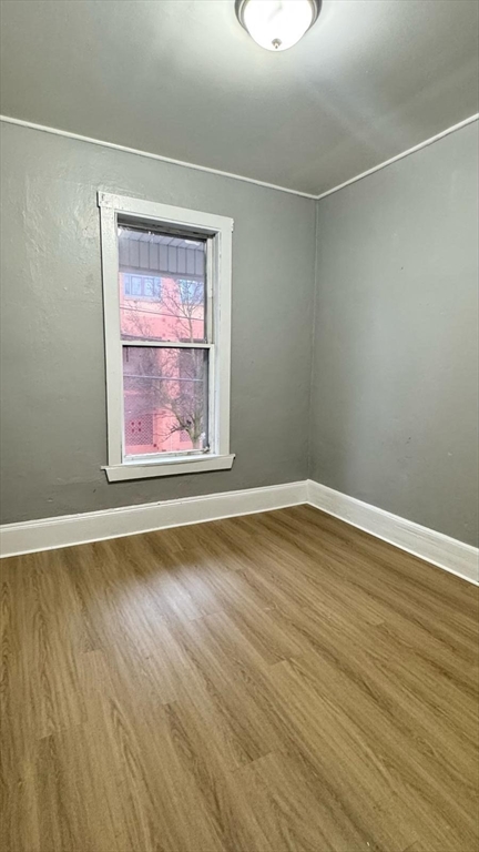 167 Walnut # 2