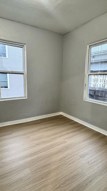 167 Walnut # 2
