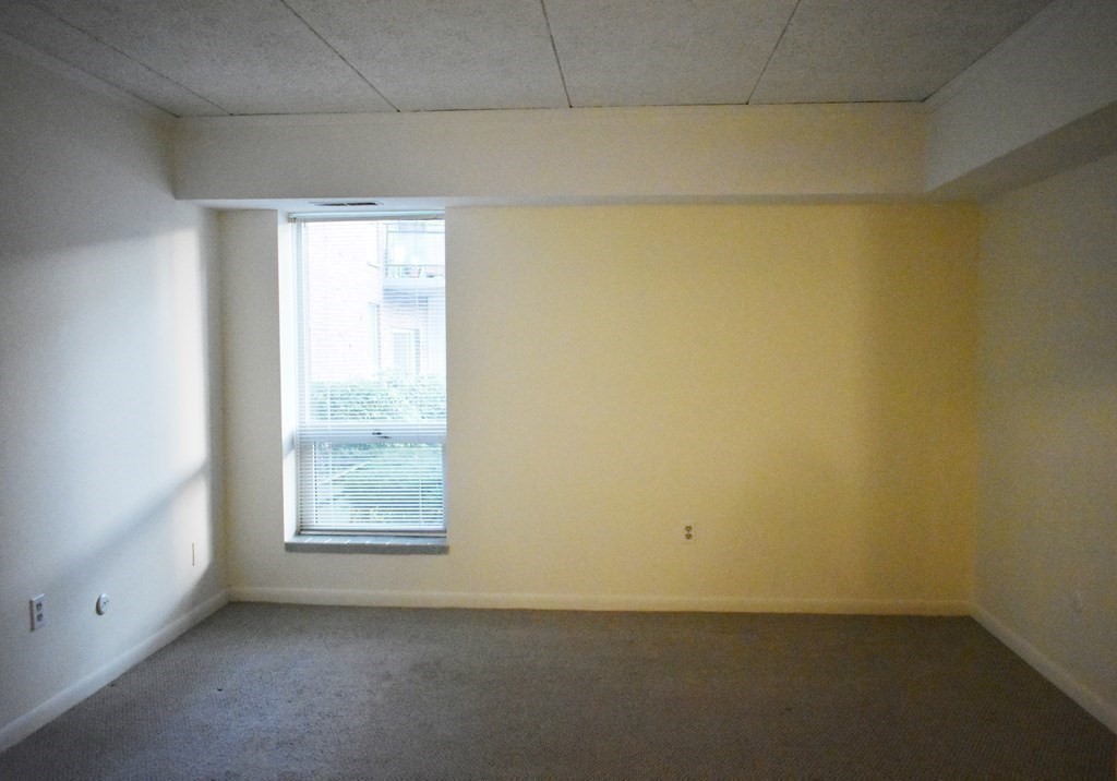 55 Broadlawn Park # 17