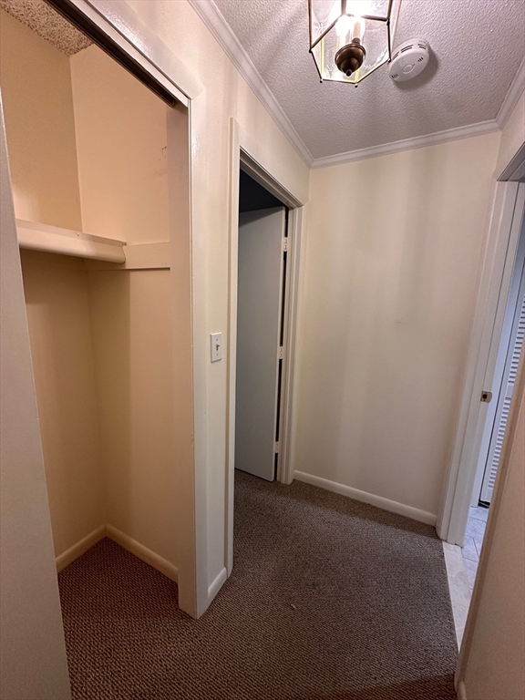 55 Broadlawn Park # 17, Newton Unit: 17