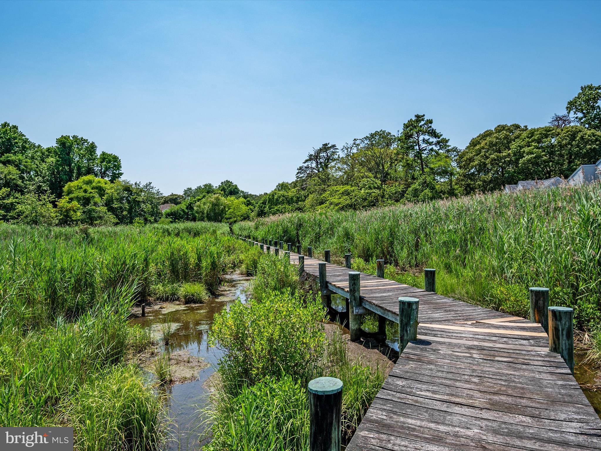 317 HICKORY POINT ROAD