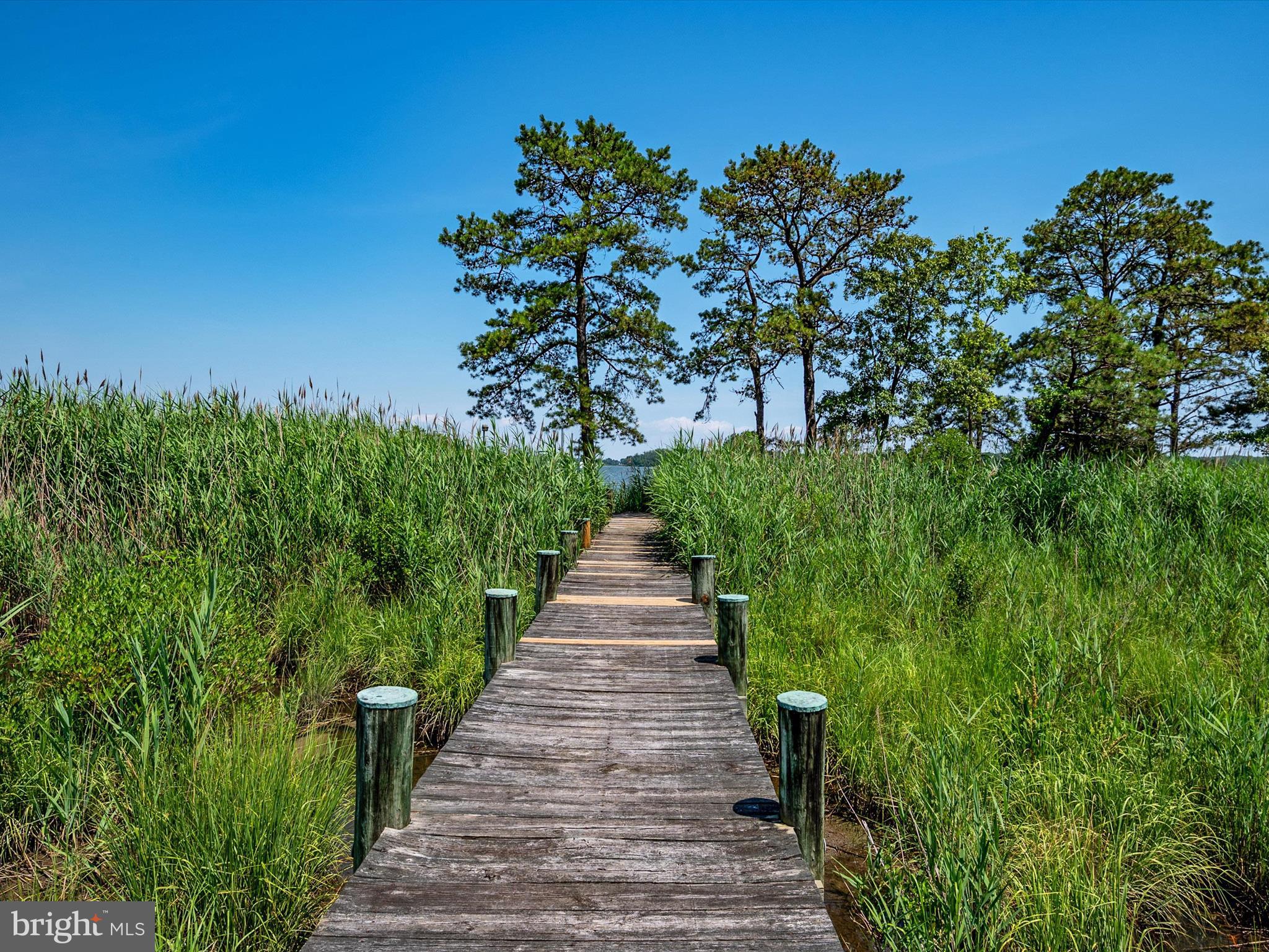 317 HICKORY POINT ROAD