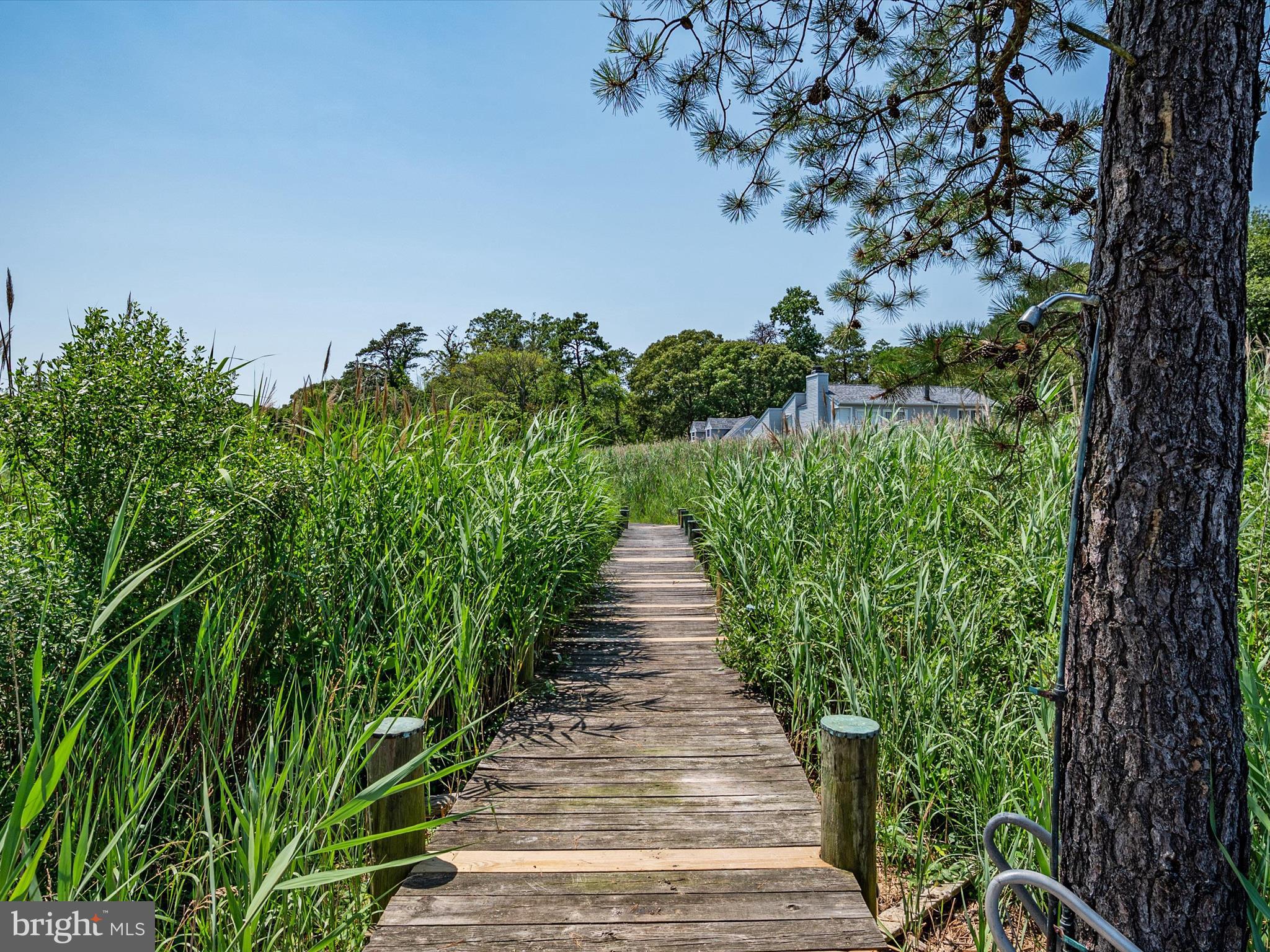 317 HICKORY POINT ROAD