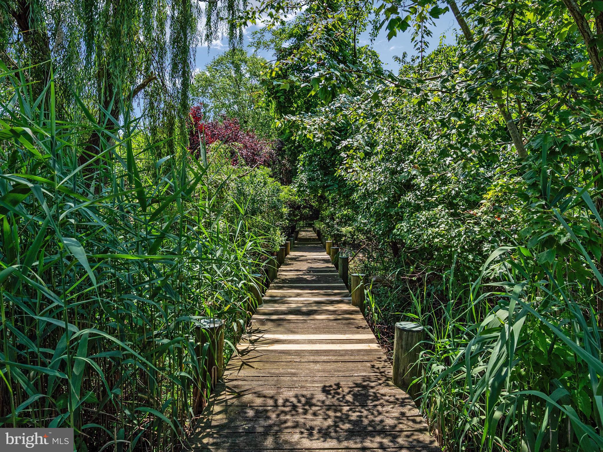 317 HICKORY POINT ROAD