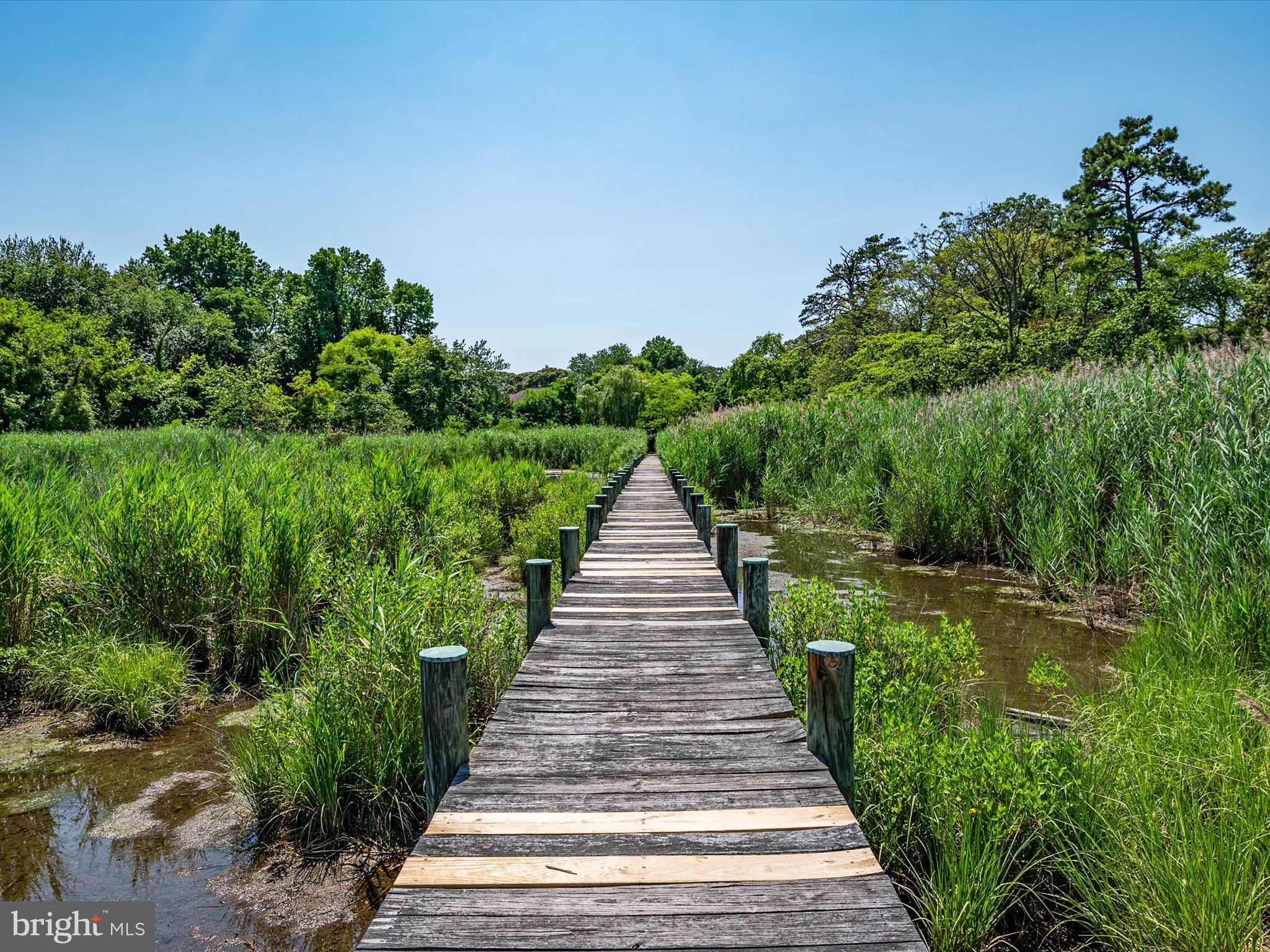 317 HICKORY POINT ROAD