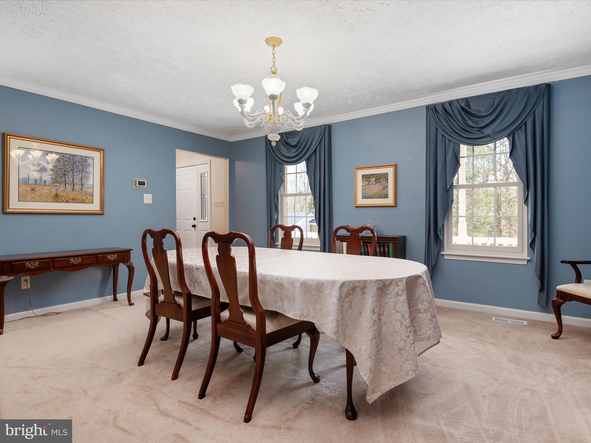 8238 SILVER RUN COURT
