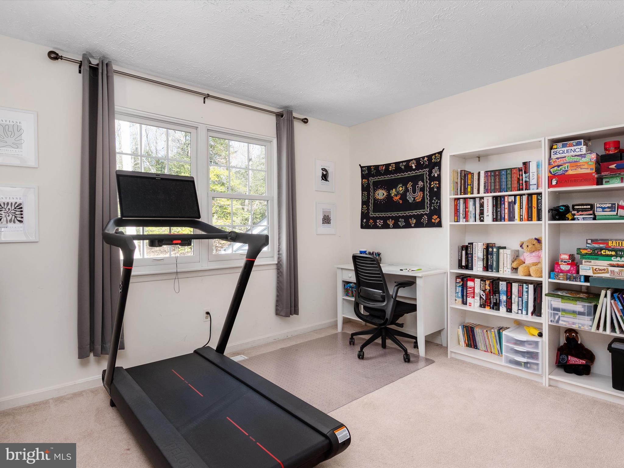 8238 SILVER RUN COURT