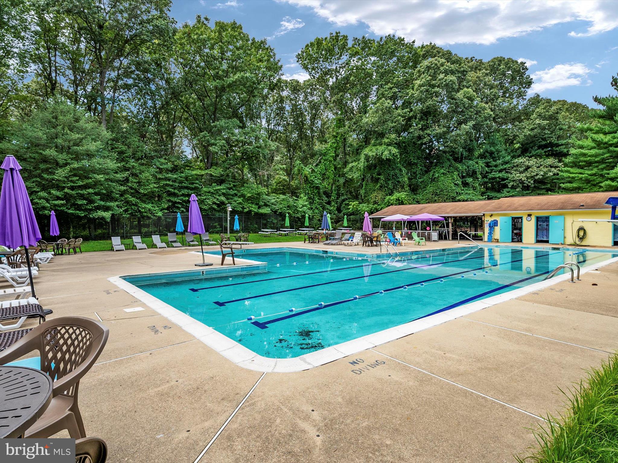 8238 SILVER RUN COURT