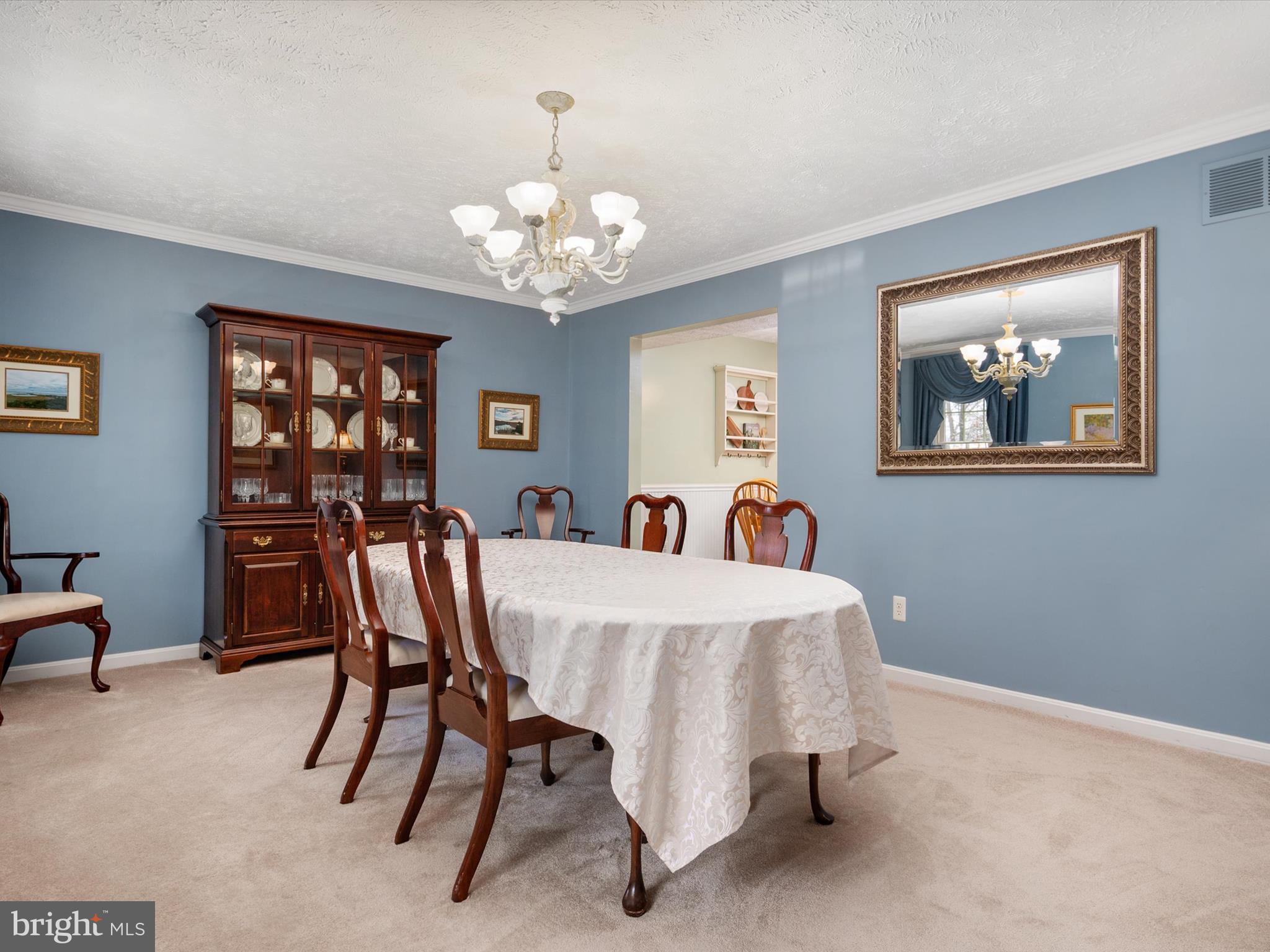 8238 SILVER RUN COURT