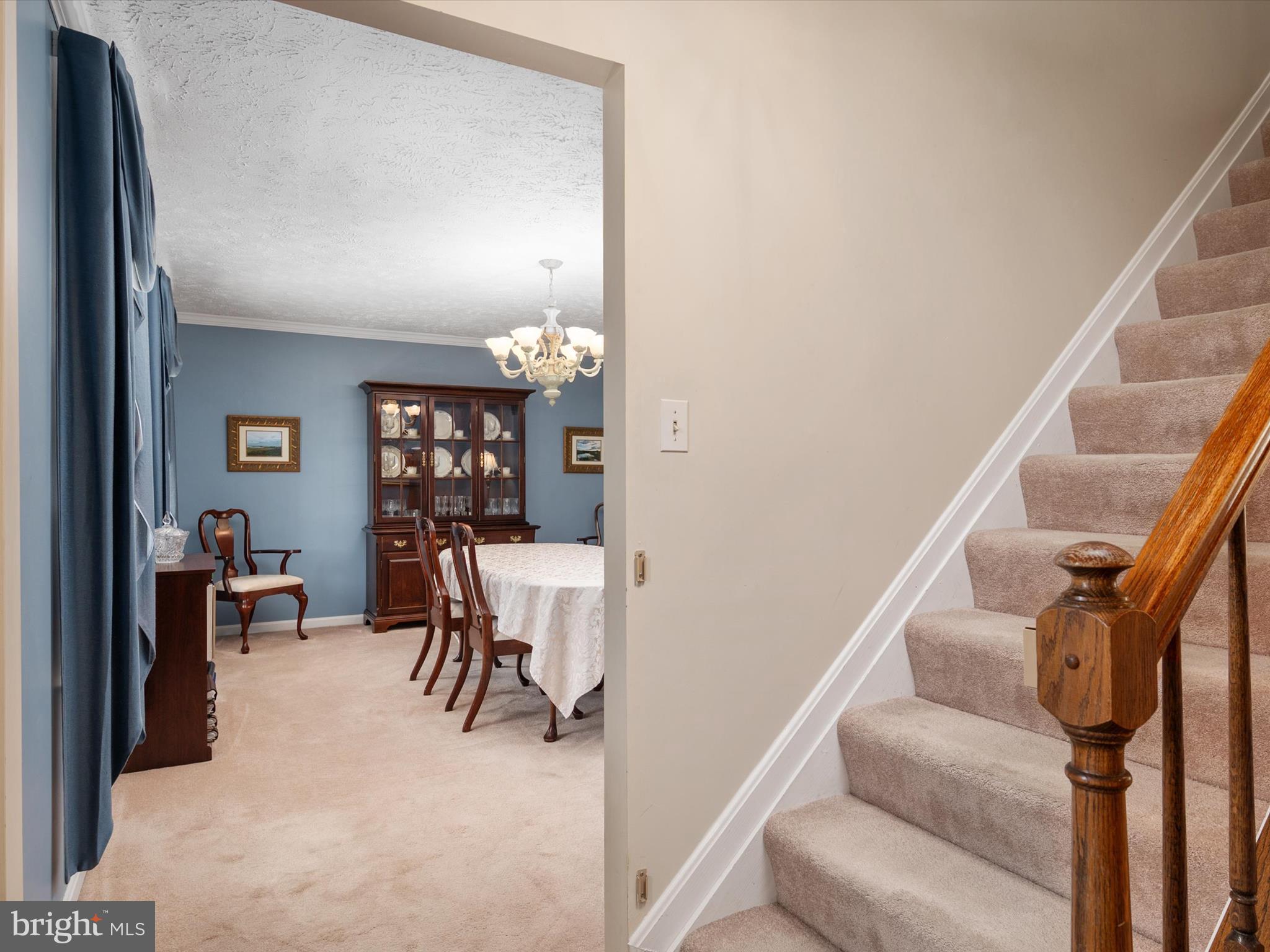 8238 SILVER RUN COURT