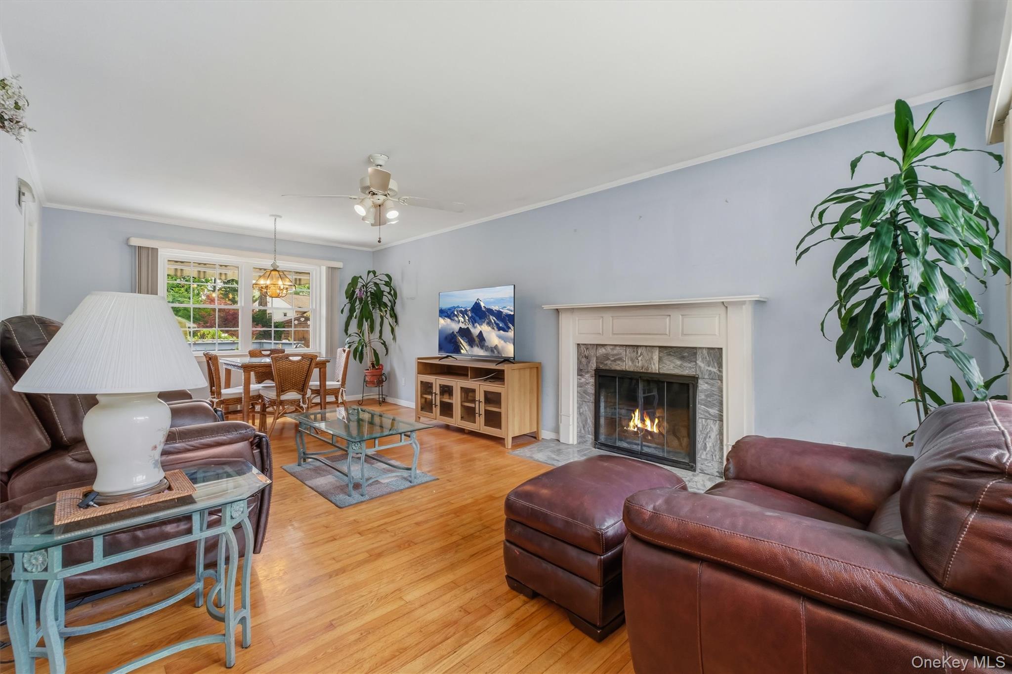 4 Broadview Road