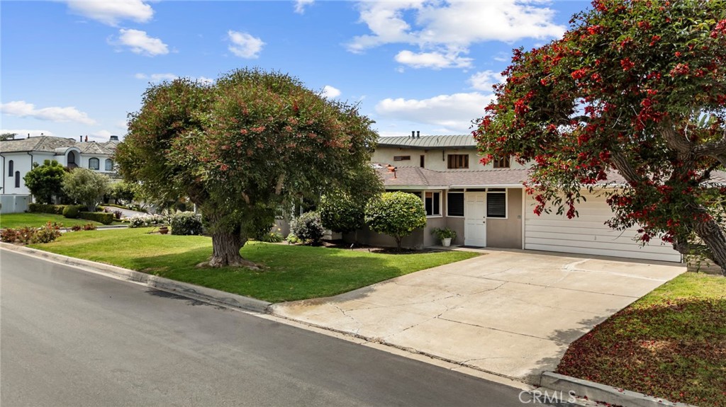 251 Driftwood Road