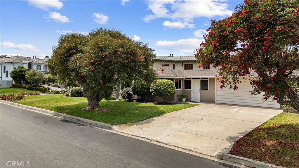 251 Driftwood Road