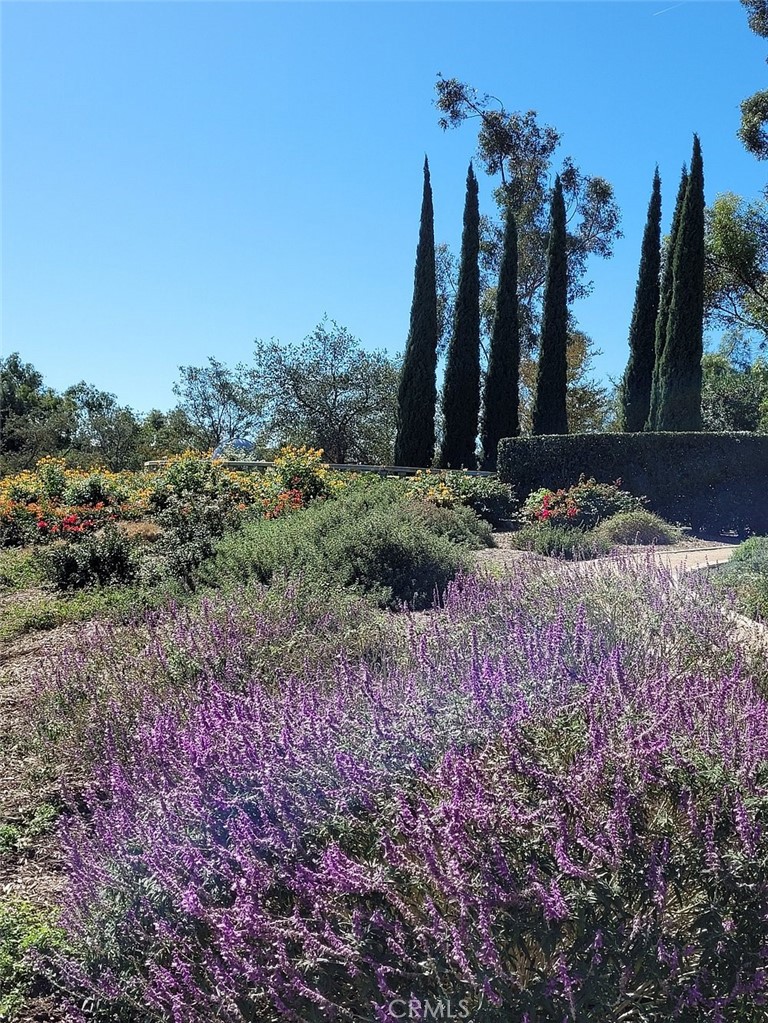 29435 Ana Maria Lane