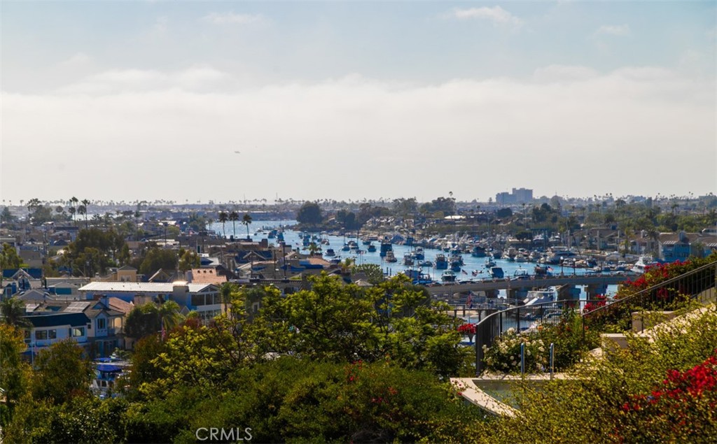 1535 Dolphin Terrace