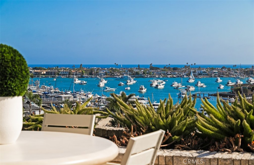 1535 Dolphin Terrace