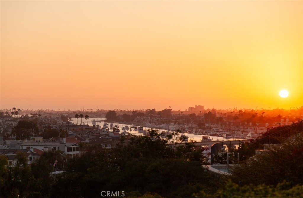 1535 Dolphin Terrace