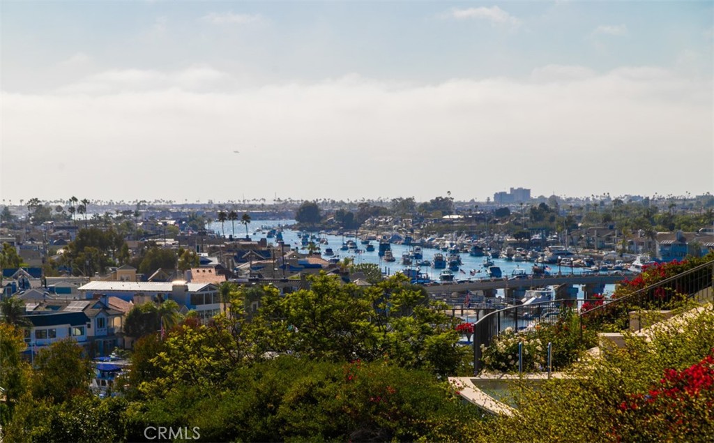 1535 Dolphin Terrace