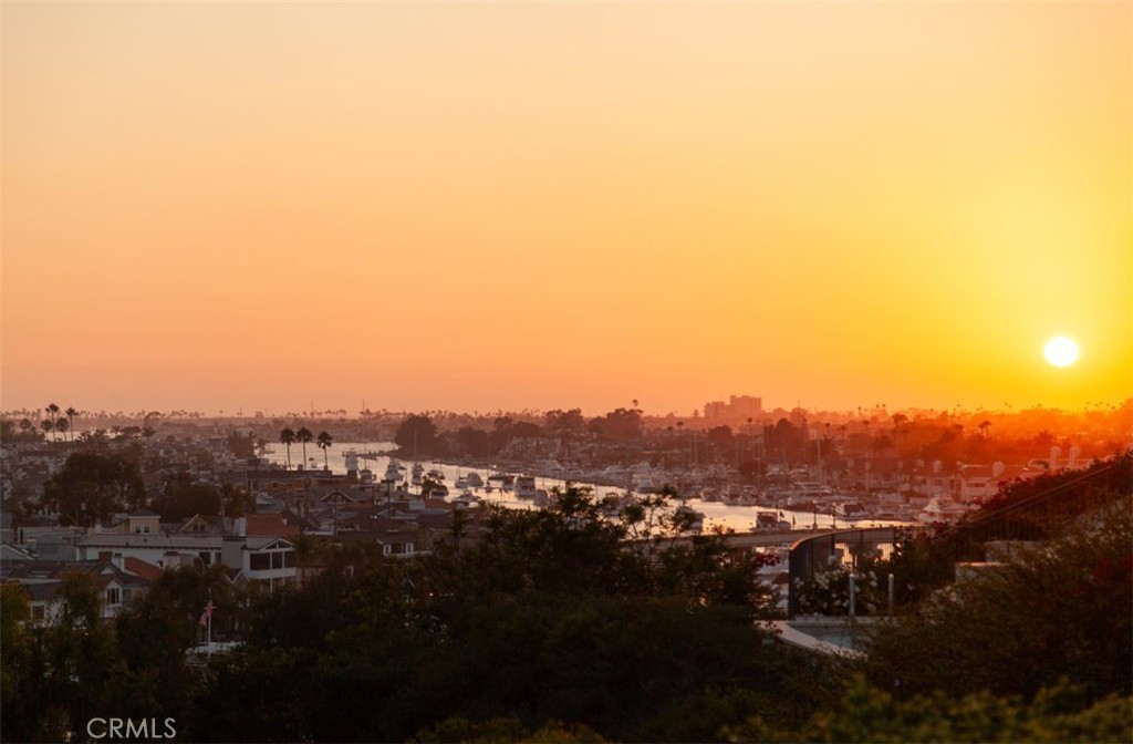 1535 Dolphin Terrace