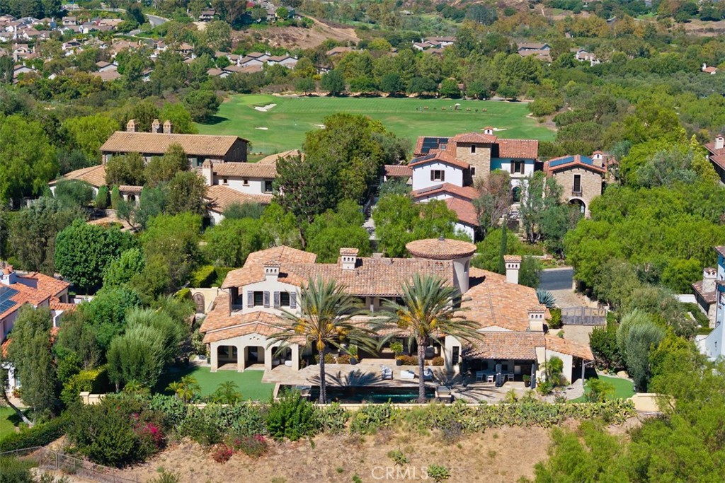 31 Blue Heron