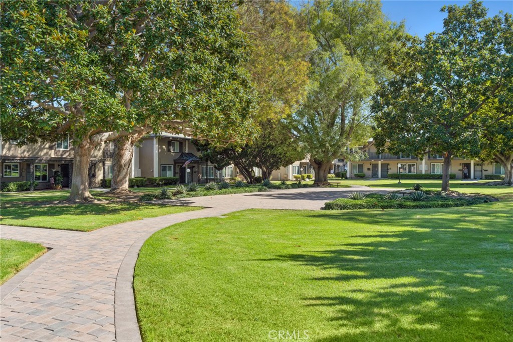 3165 College