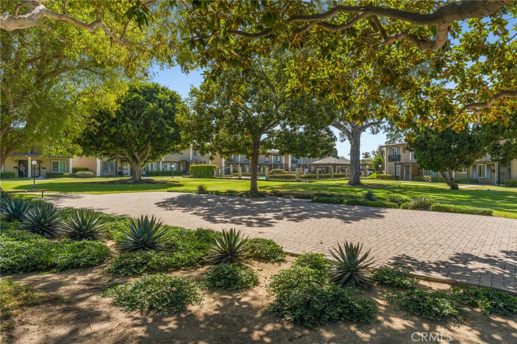 3165 College