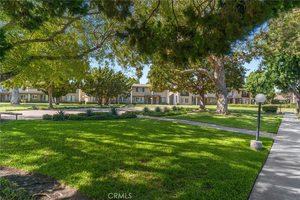 3165 College