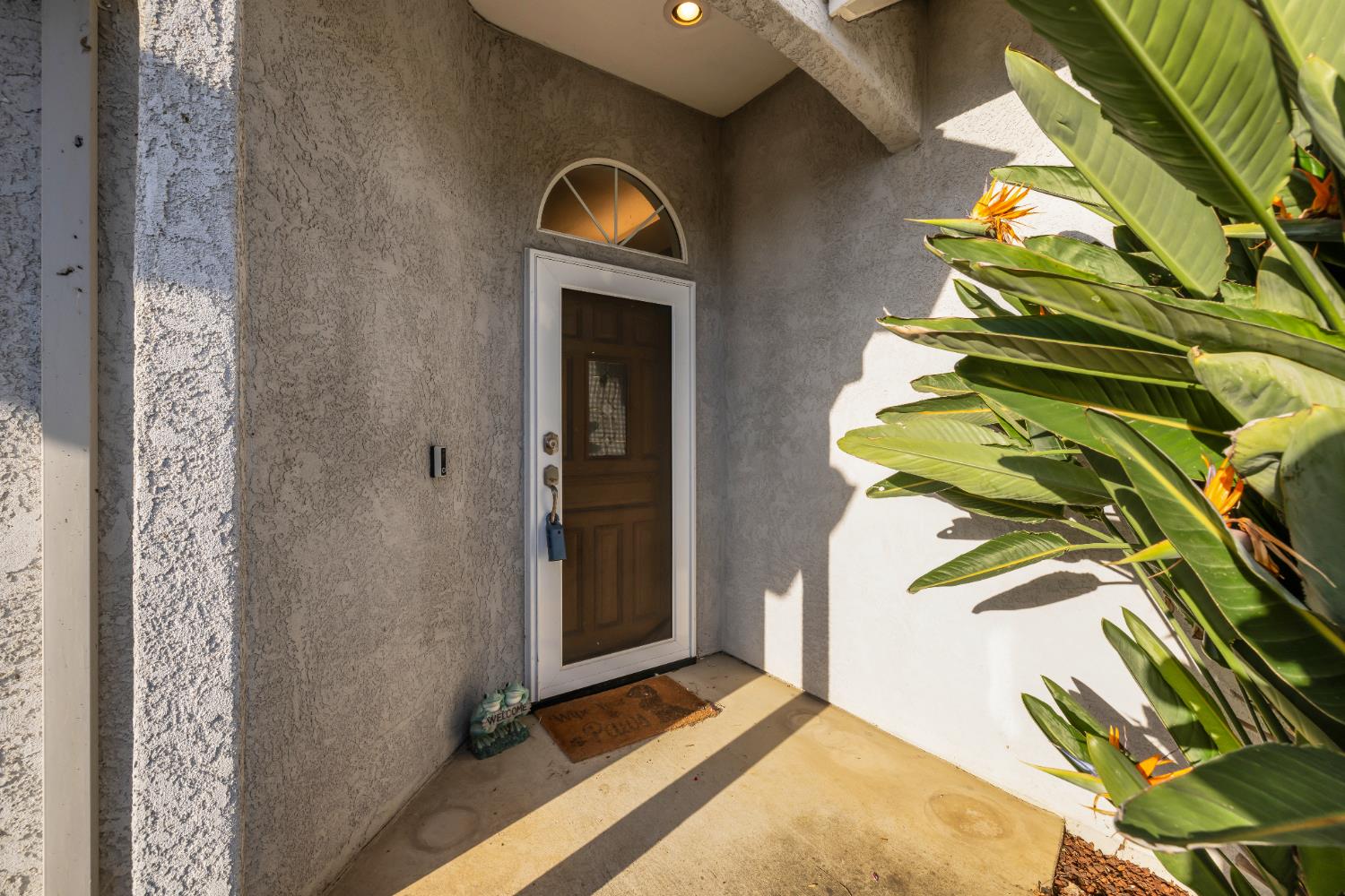 2098 Mann Drive