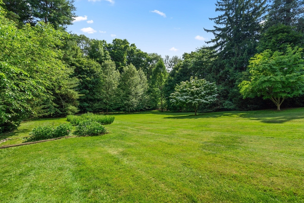 Lots 2 & 3 Chapin Road