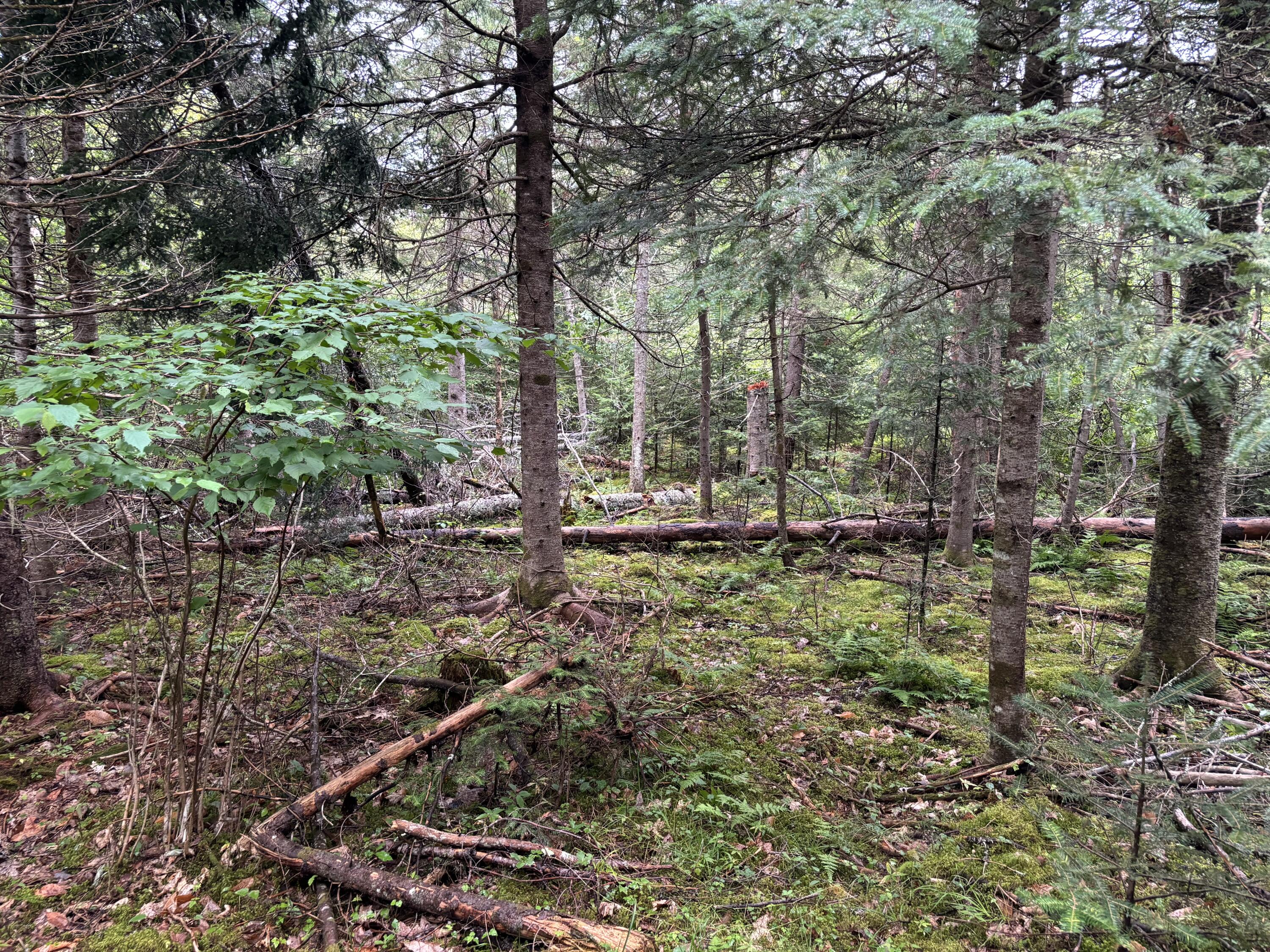 Map6 Lot 2 Gilpin Road