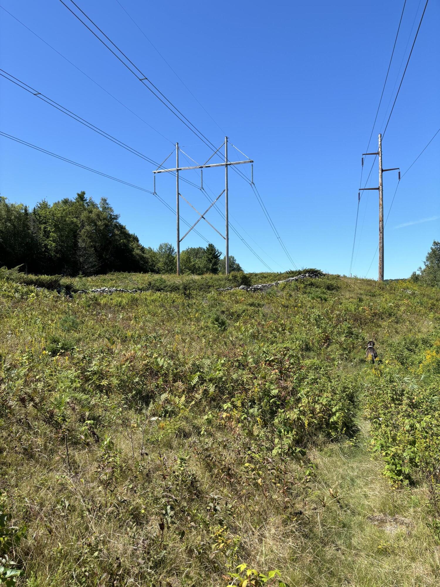 Map3 Lot14 Off Dahlia Farm Road