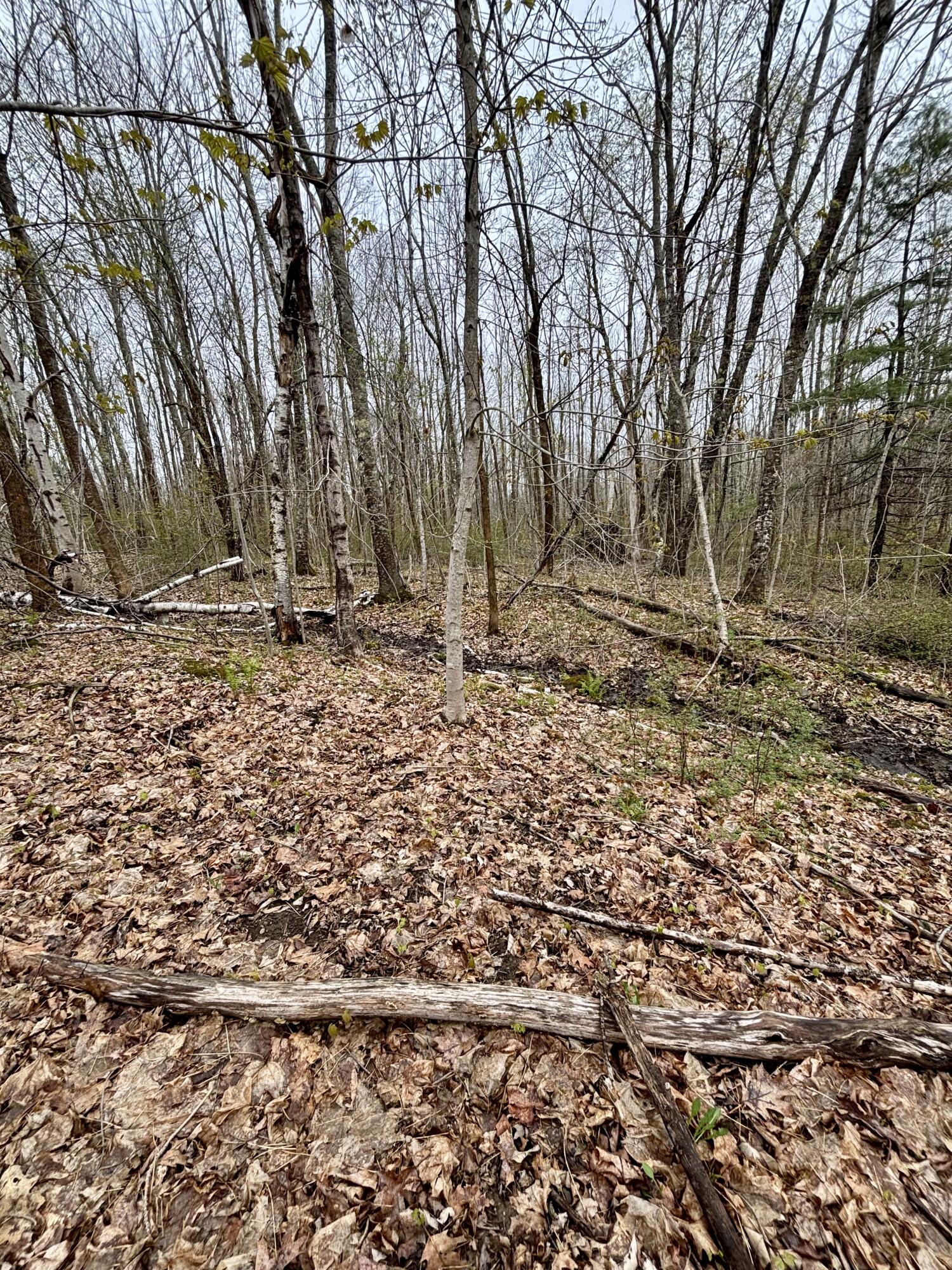 140 Gray Meadow Road