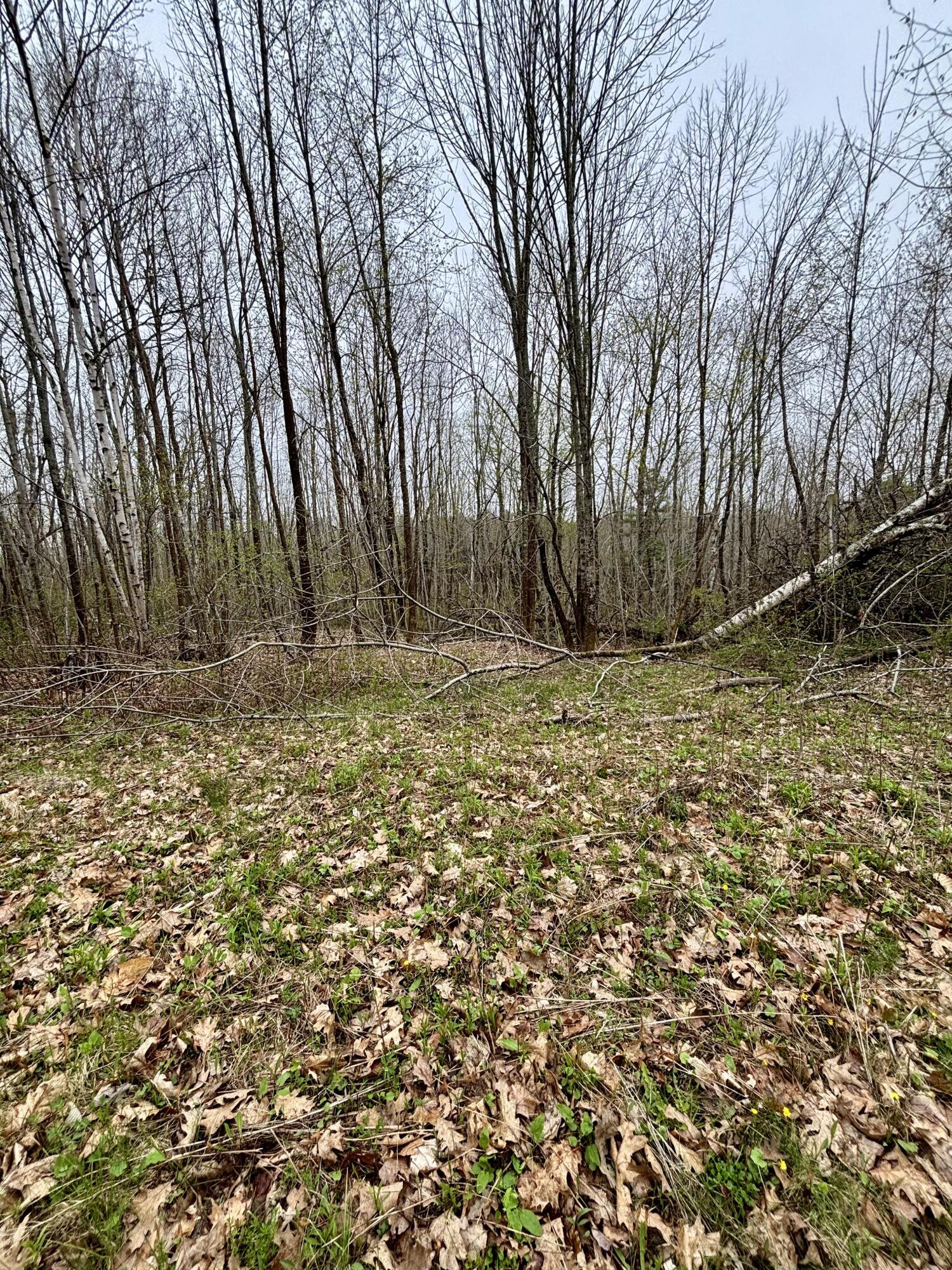 140 Gray Meadow Road
