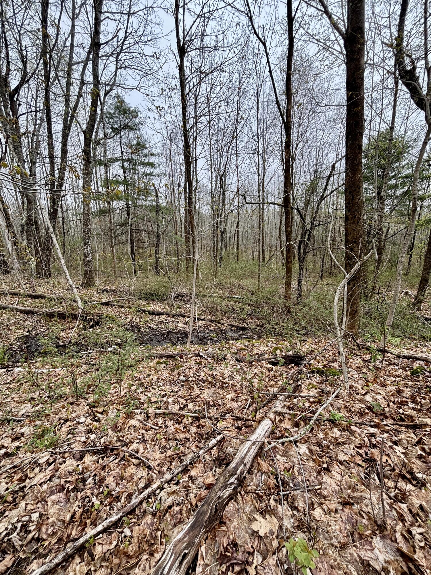 140 Gray Meadow Road