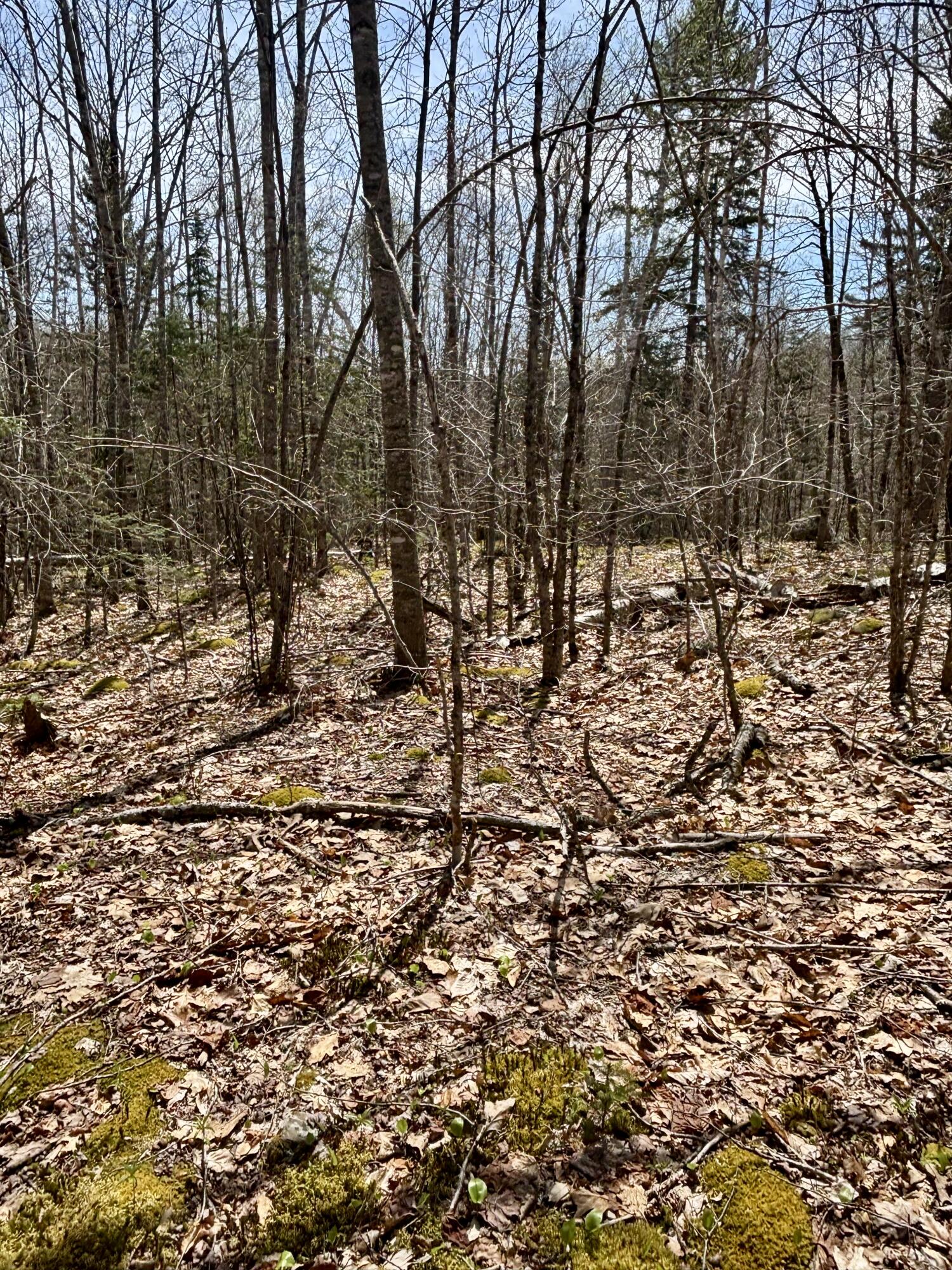 Map8Lot30 Off Walker Heights