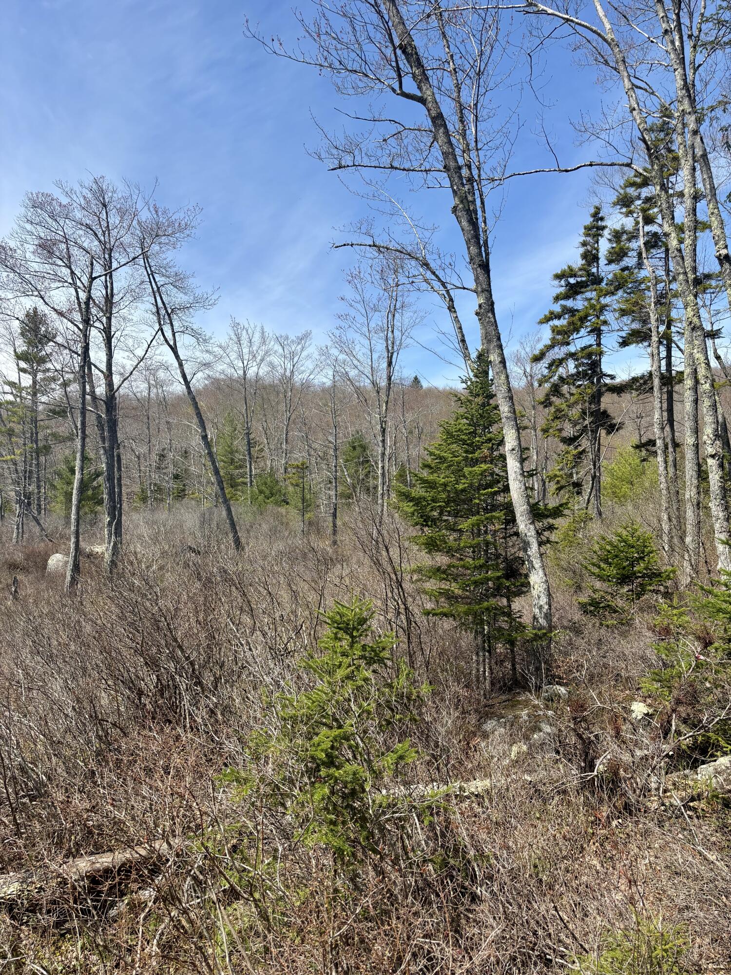 Map8Lot30 Off Walker Heights