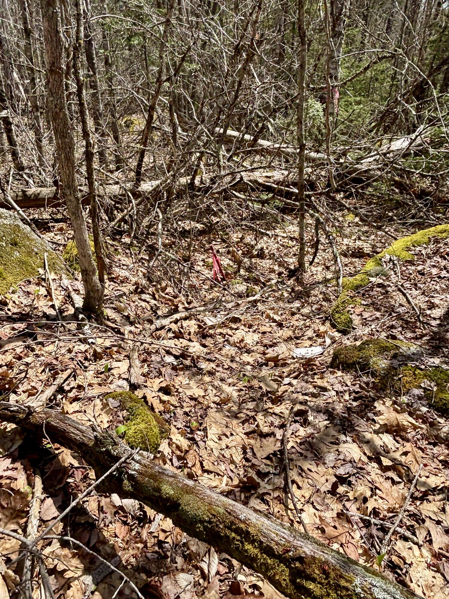 Map8Lot30 Off Walker Heights