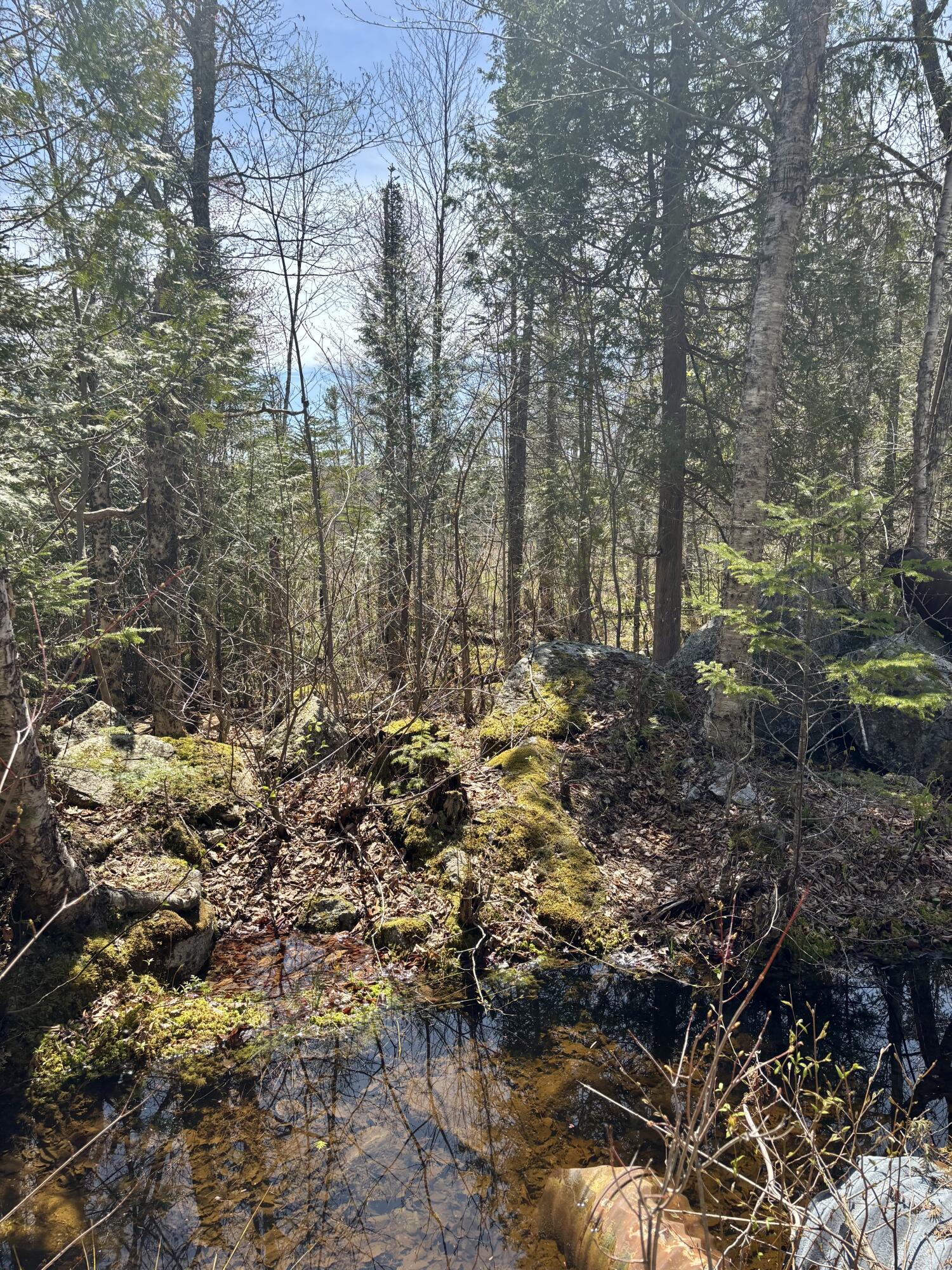 Map8Lot30 Off Walker Heights