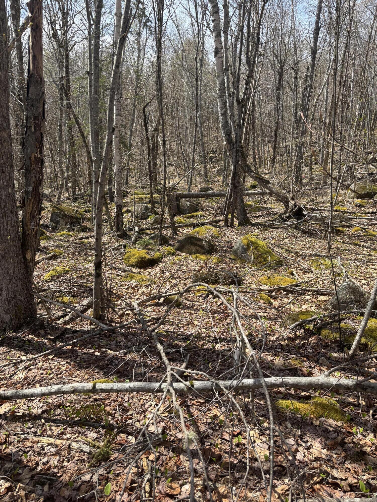 Map8Lot30 Off Walker Heights