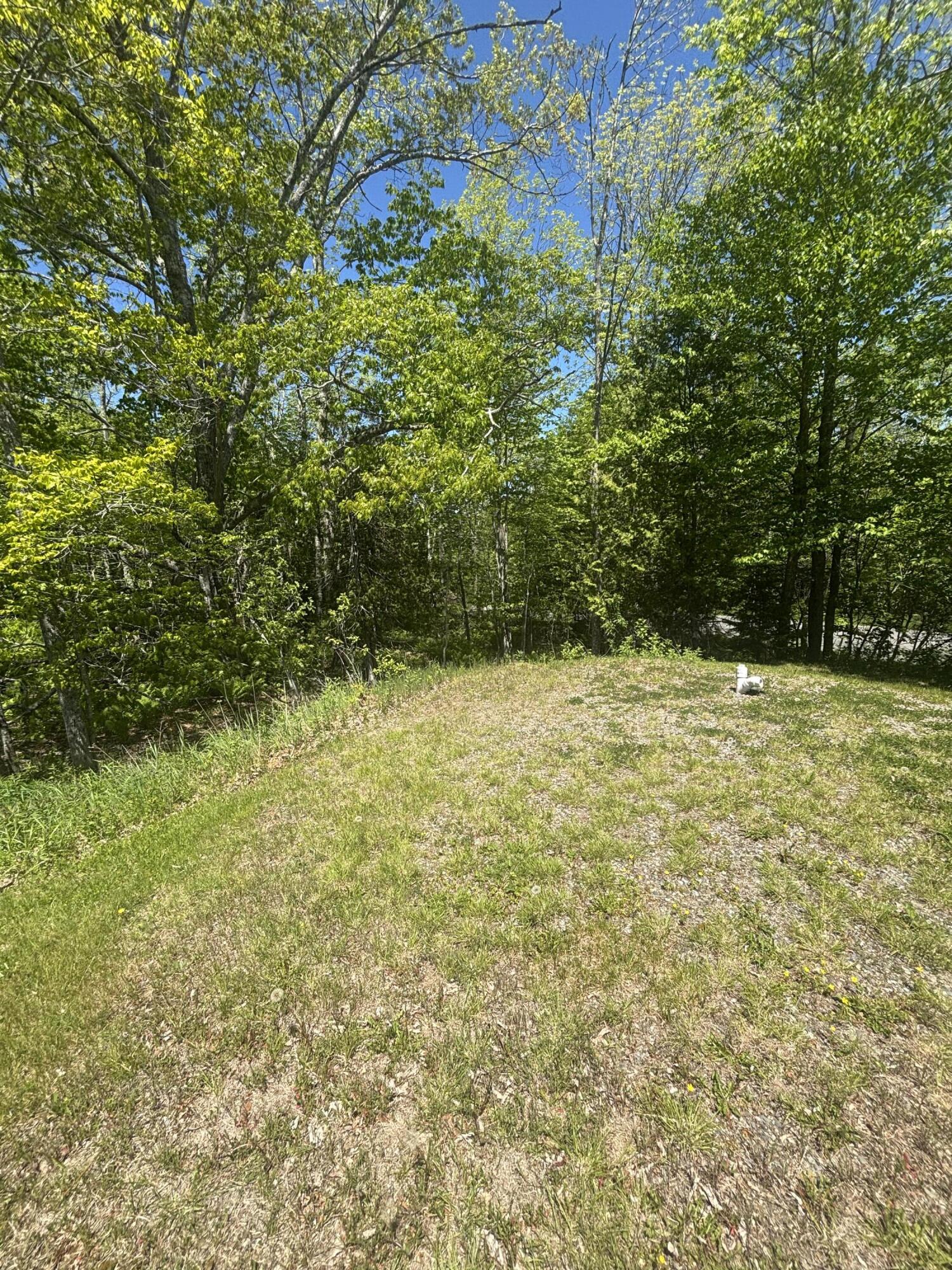 954 Cape Rosier Road