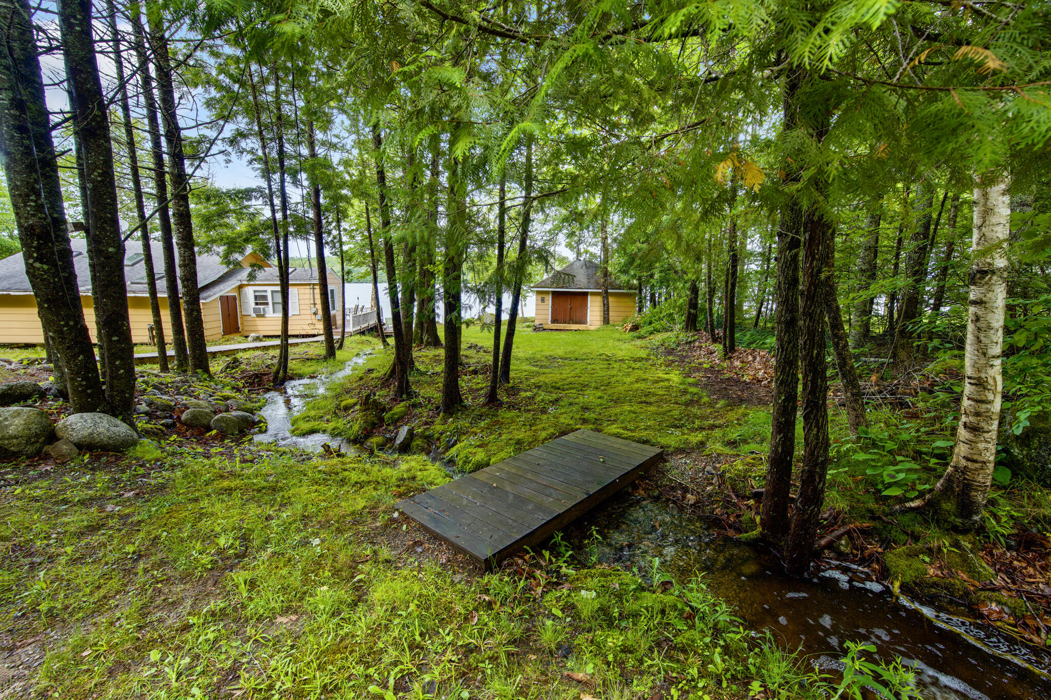 116 Violette Way